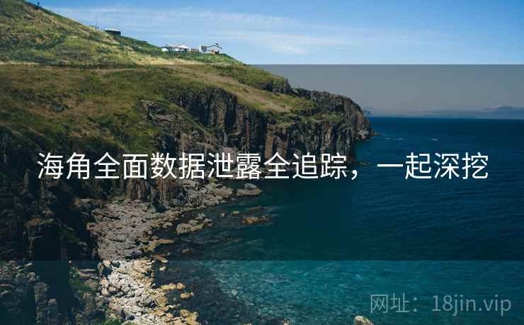 海角全面数据泄露全追踪，一起深挖