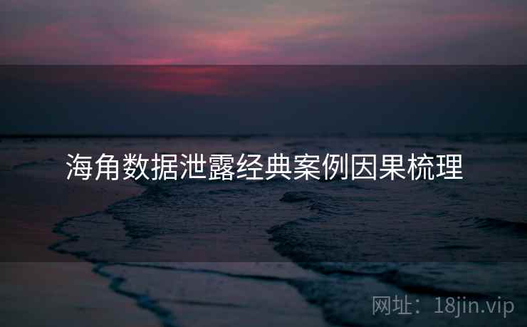 海角数据泄露经典案例因果梳理
